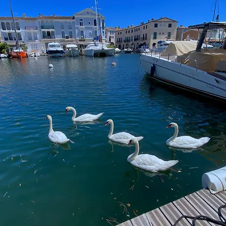 Maison De Pêcheur Strelitzia Amarrage 3,8m Par 16m * Grimaud