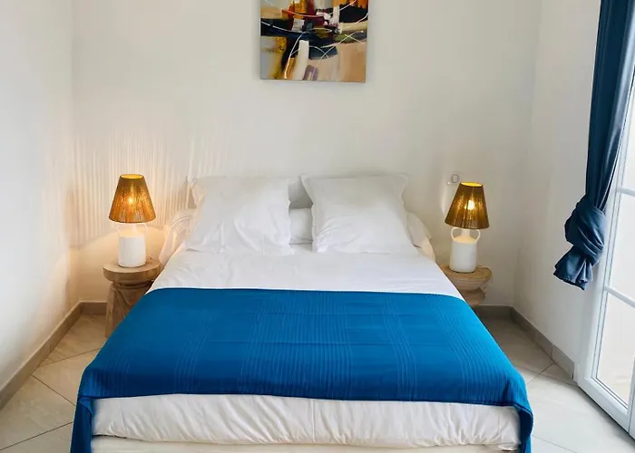 Maison De Pêcheur Strelitzia Amarrage 3,8m Par 16m Grimaud