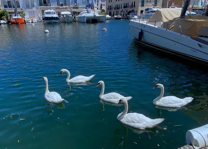 Maison De Pêcheur Strelitzia Amarrage 3,8m Par 16m * Grimaud